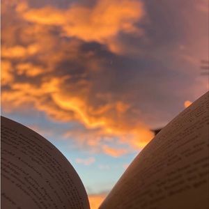 Meet your Posher, Abbigail